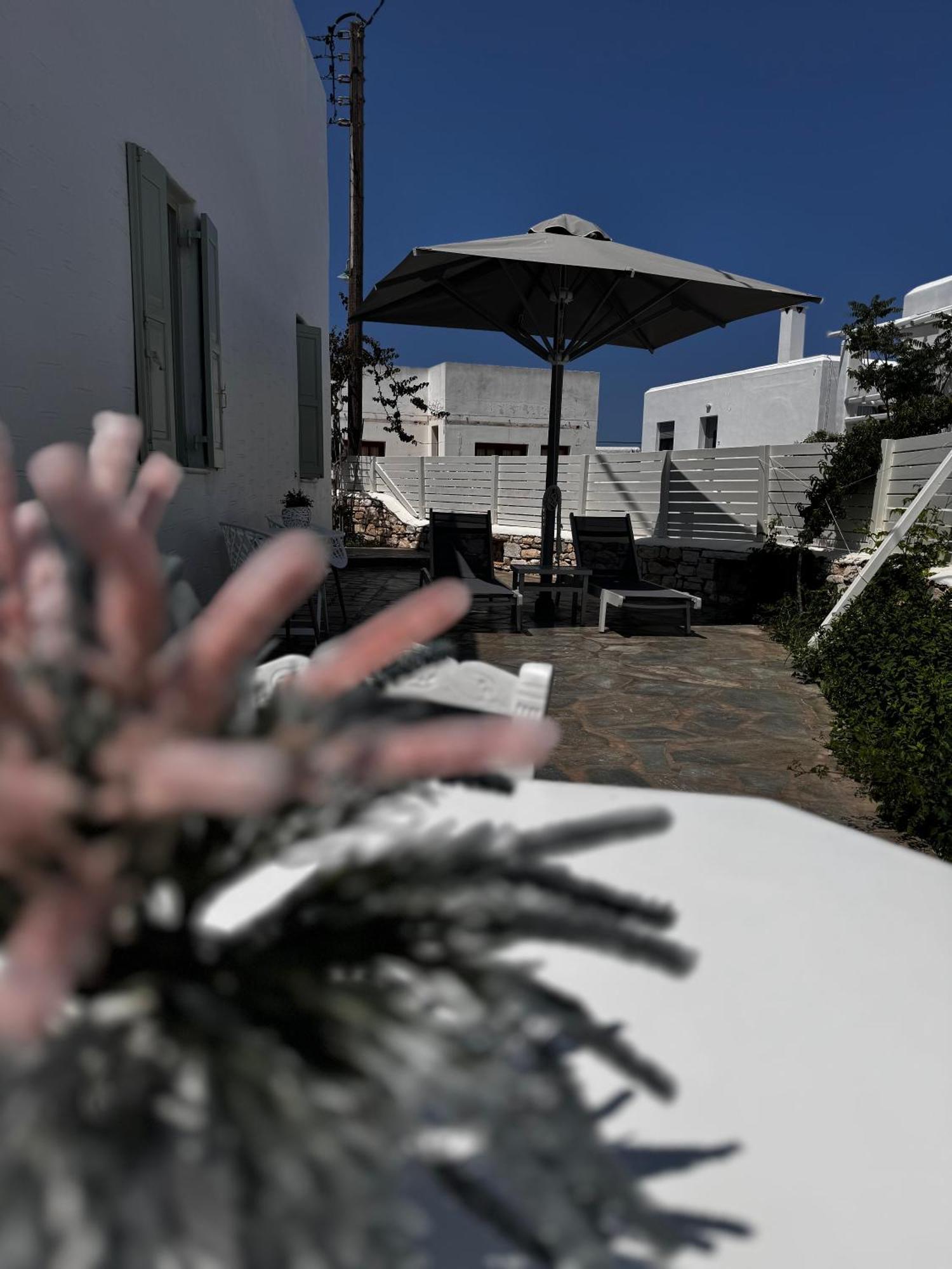 Aparthotel Dafni'S Philoxenia à Náoussa Extérieur photo